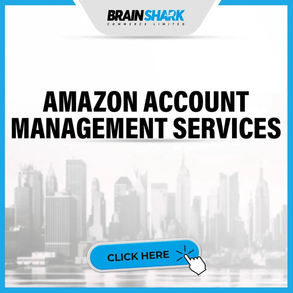 AMAZON ACCOUNT MANAGEMENT SERVICES