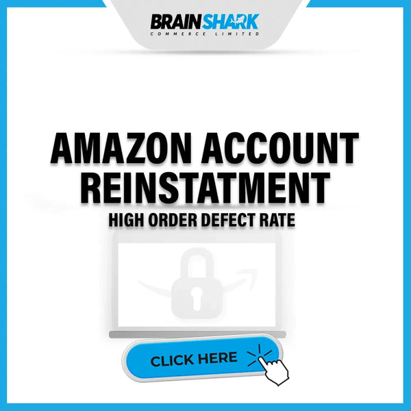 AMAZON ACCOUNT REINSTATEMENTS SERVICES