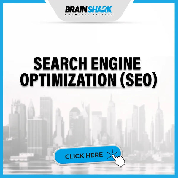 SEARCH ENGINE OPTIMIZATION (SEO) SERVICES