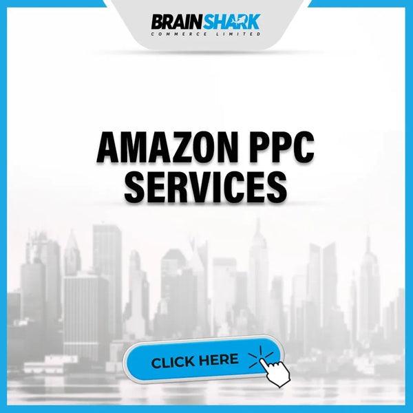 AMAZON PPC SERVICES